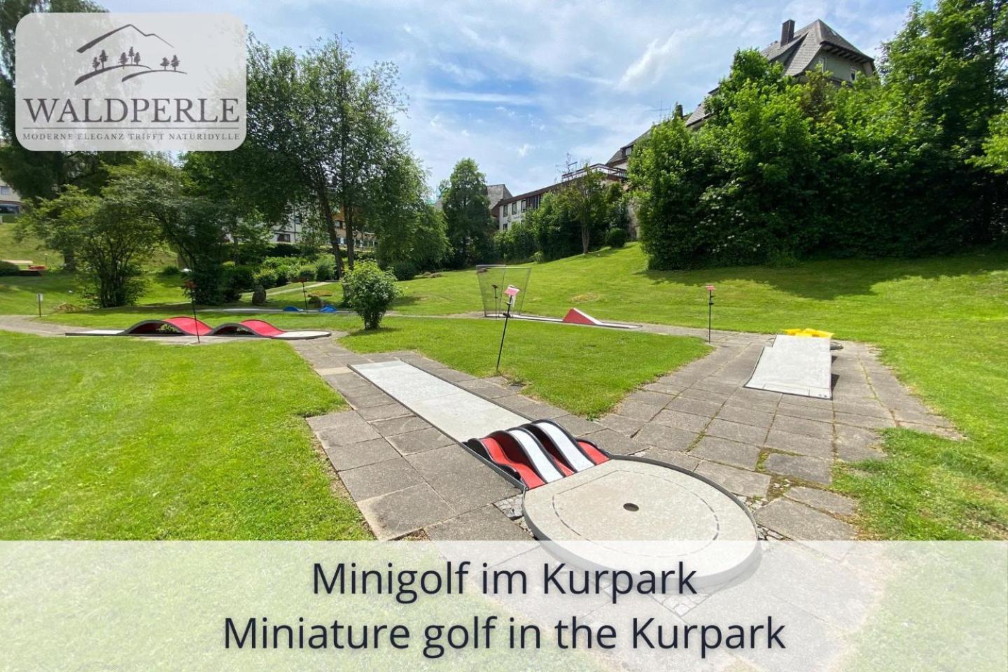 Exklusives 5-Sterne Apartment Waldperle Mit Indoor-Pool, Sauna, Top Lage Und Ausblick In Die Natur, Hunde Willkommen Schonach im Schwarzwald Extérieur photo
