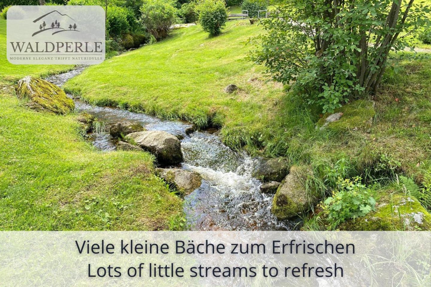 Exklusives 5-Sterne Apartment Waldperle Mit Indoor-Pool, Sauna, Top Lage Und Ausblick In Die Natur, Hunde Willkommen Schonach im Schwarzwald Extérieur photo