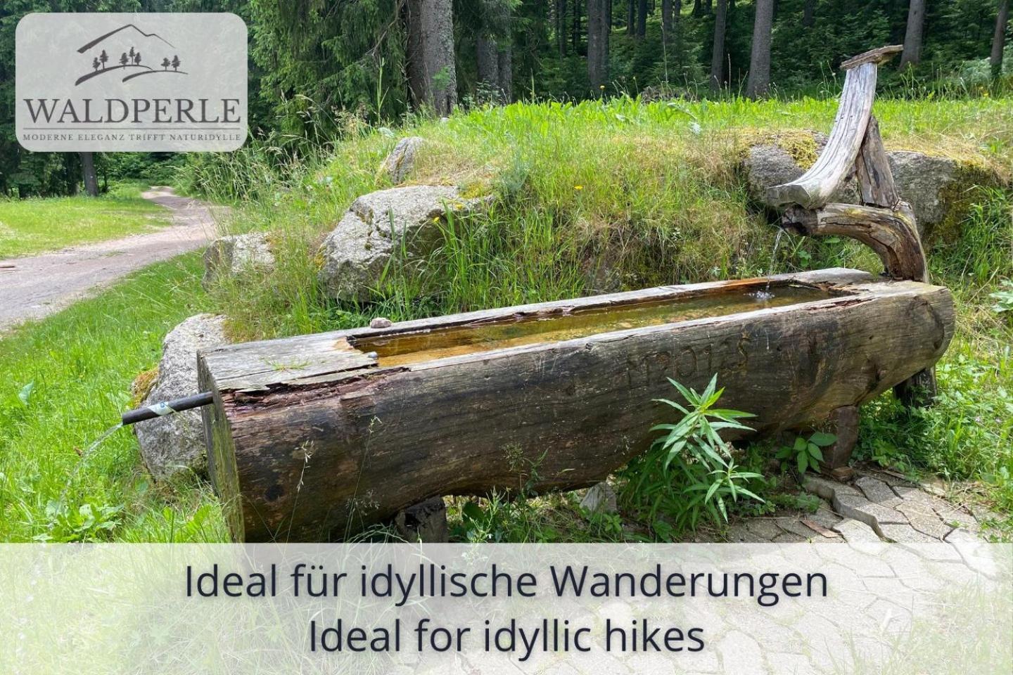 Exklusives 5-Sterne Apartment Waldperle Mit Indoor-Pool, Sauna, Top Lage Und Ausblick In Die Natur, Hunde Willkommen Schonach im Schwarzwald Extérieur photo