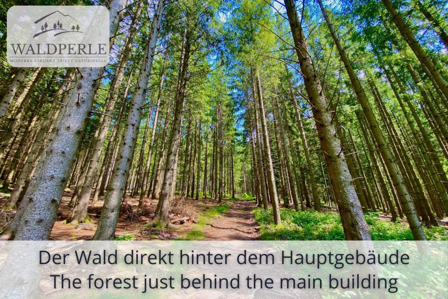 Exklusives 5-Sterne Apartment Waldperle Mit Indoor-Pool, Sauna, Top Lage Und Ausblick In Die Natur, Hunde Willkommen Schonach im Schwarzwald Extérieur photo