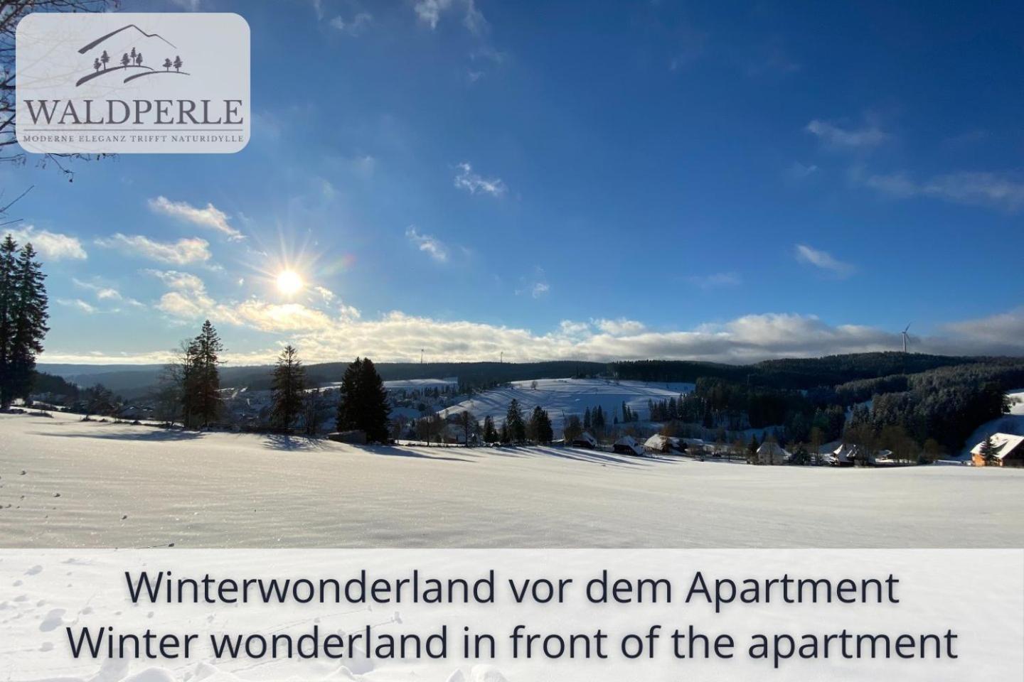 Exklusives 5-Sterne Apartment Waldperle Mit Indoor-Pool, Sauna, Top Lage Und Ausblick In Die Natur, Hunde Willkommen Schonach im Schwarzwald Extérieur photo