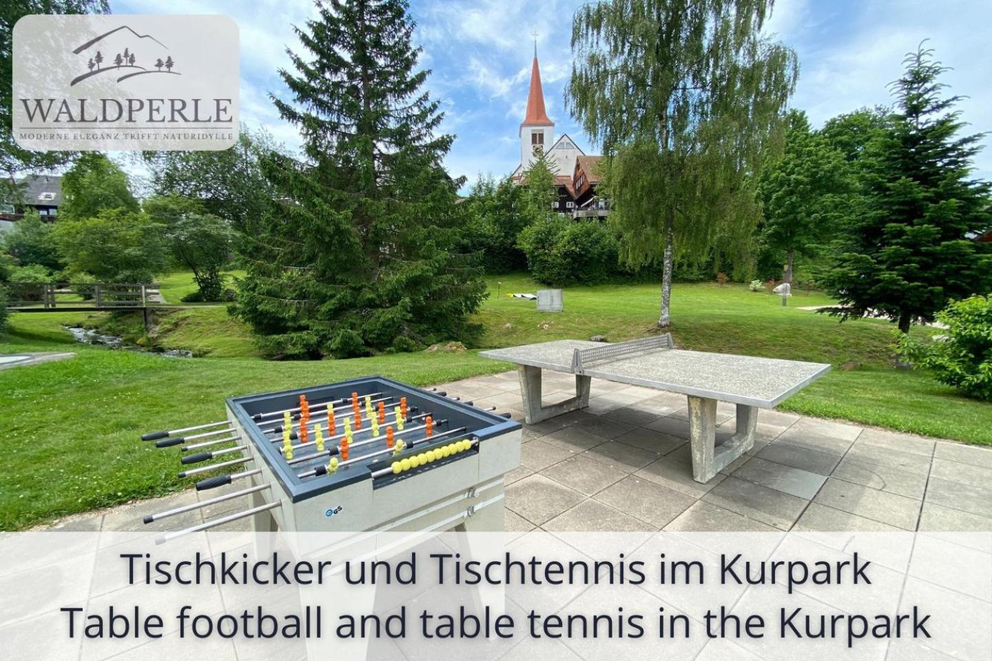 Exklusives 5-Sterne Apartment Waldperle Mit Indoor-Pool, Sauna, Top Lage Und Ausblick In Die Natur, Hunde Willkommen Schonach im Schwarzwald Extérieur photo