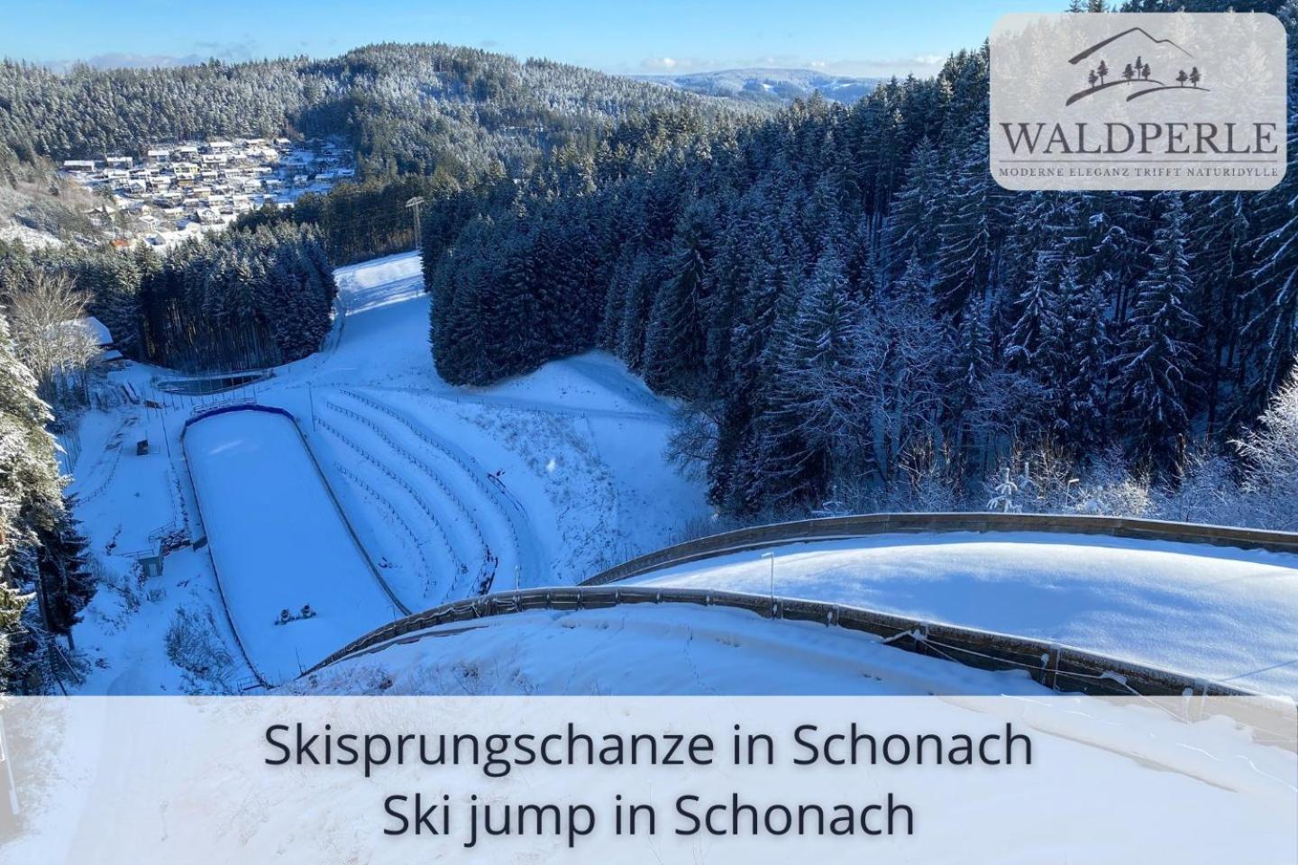 Exklusives 5-Sterne Apartment Waldperle Mit Indoor-Pool, Sauna, Top Lage Und Ausblick In Die Natur, Hunde Willkommen Schonach im Schwarzwald Extérieur photo