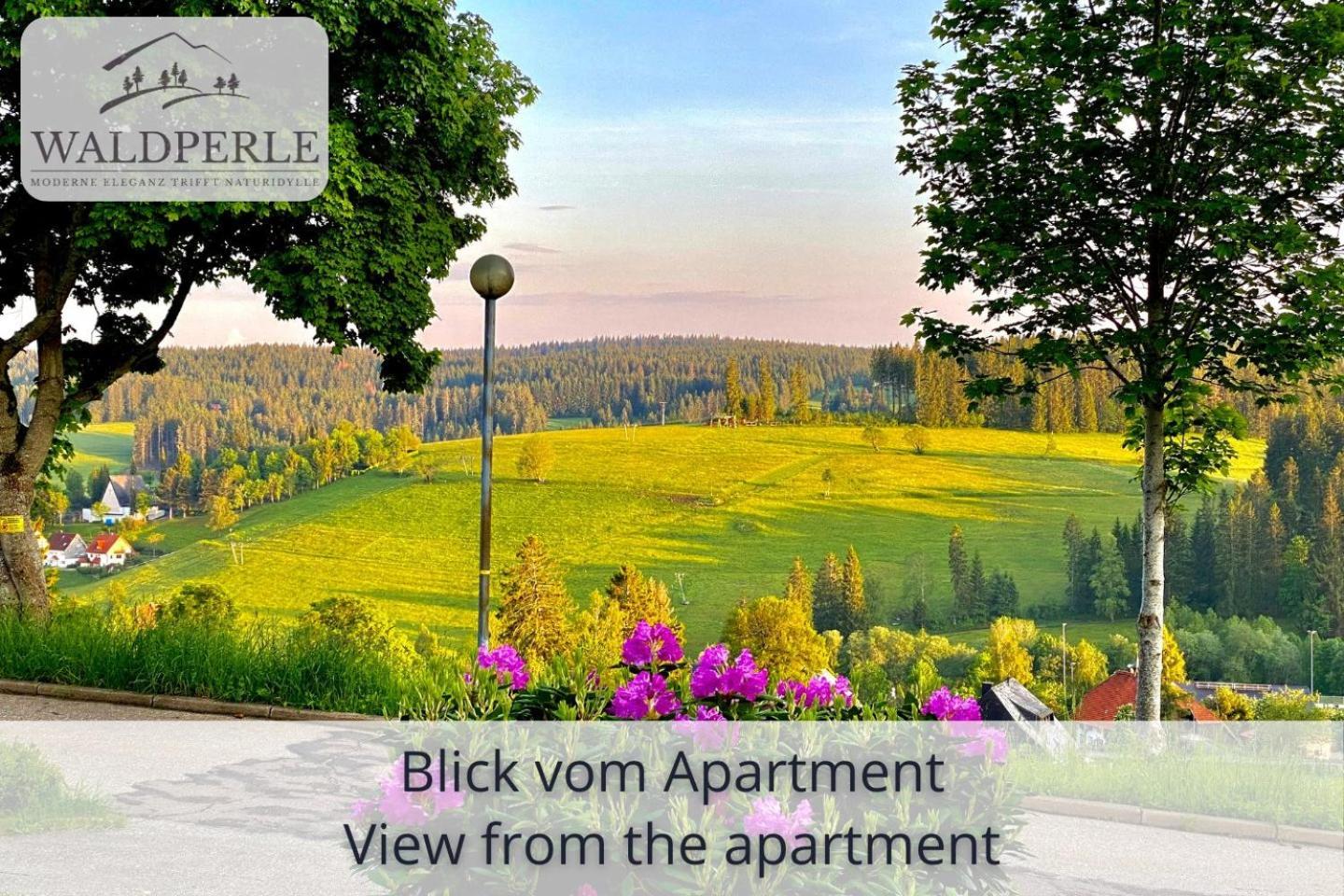 Exklusives 5-Sterne Apartment Waldperle Mit Indoor-Pool, Sauna, Top Lage Und Ausblick In Die Natur, Hunde Willkommen Schonach im Schwarzwald Extérieur photo