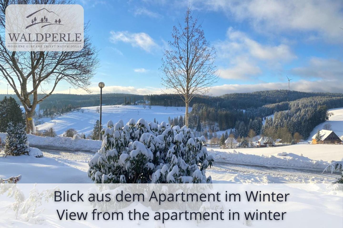 Exklusives 5-Sterne Apartment Waldperle Mit Indoor-Pool, Sauna, Top Lage Und Ausblick In Die Natur, Hunde Willkommen Schonach im Schwarzwald Extérieur photo