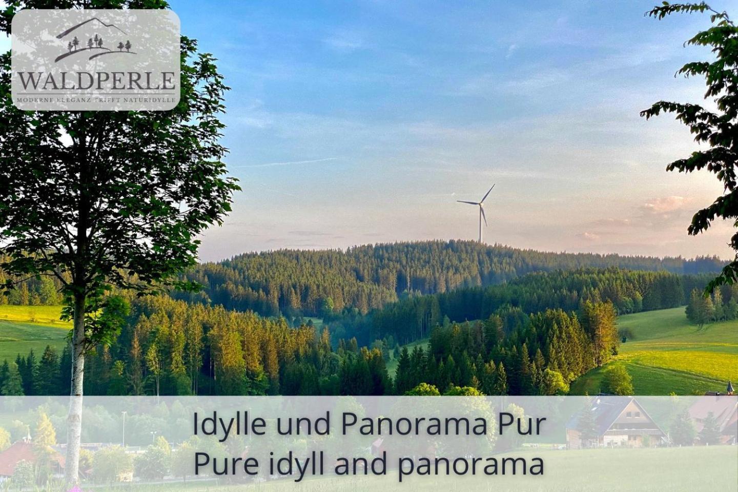Exklusives 5-Sterne Apartment Waldperle Mit Indoor-Pool, Sauna, Top Lage Und Ausblick In Die Natur, Hunde Willkommen Schonach im Schwarzwald Extérieur photo