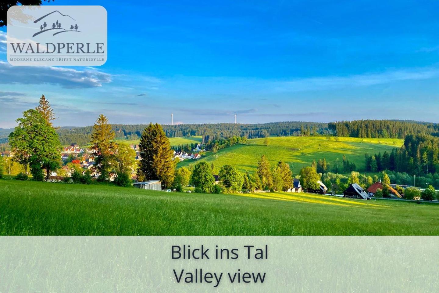 Exklusives 5-Sterne Apartment Waldperle Mit Indoor-Pool, Sauna, Top Lage Und Ausblick In Die Natur, Hunde Willkommen Schonach im Schwarzwald Extérieur photo