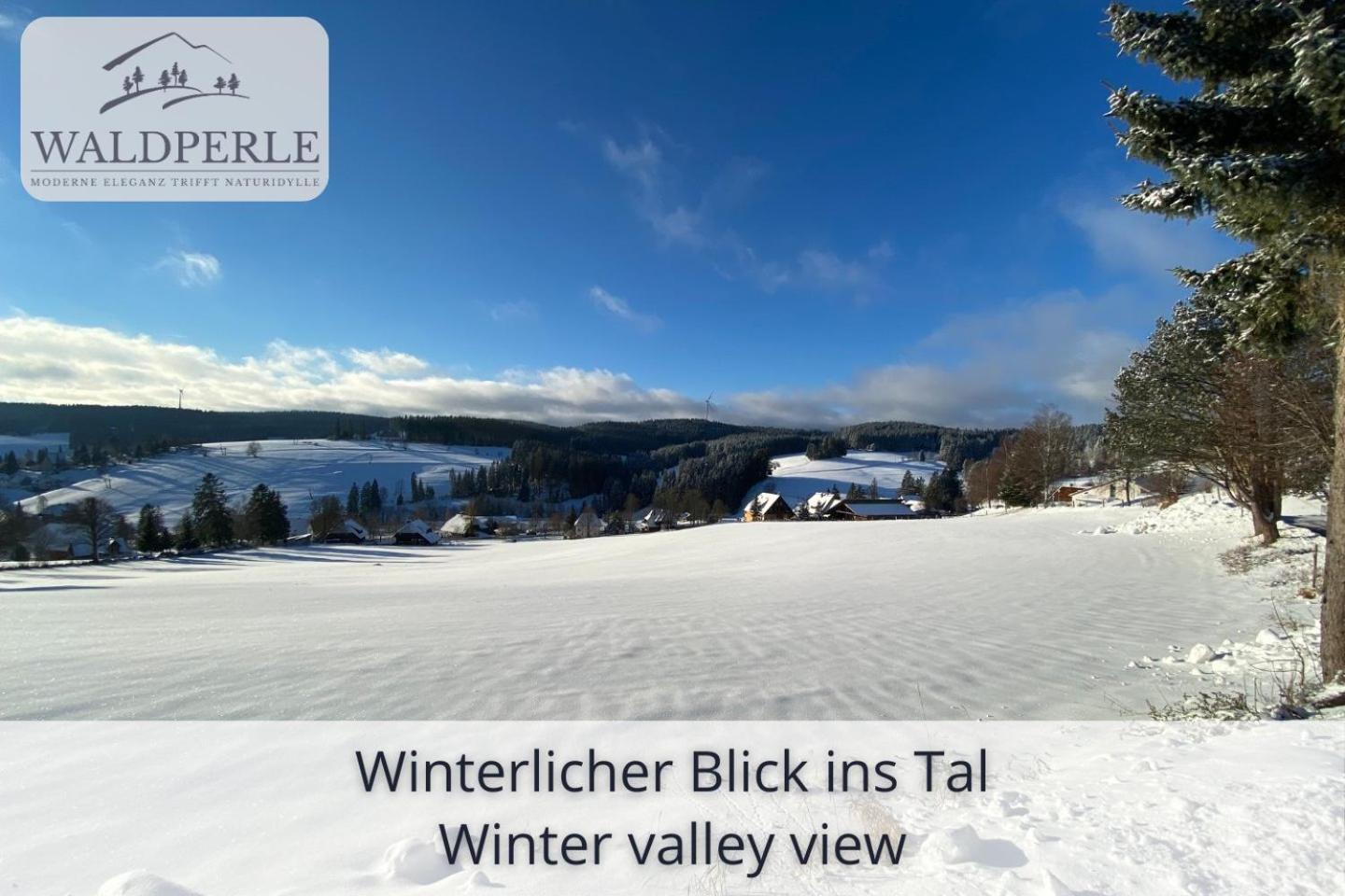 Exklusives 5-Sterne Apartment Waldperle Mit Indoor-Pool, Sauna, Top Lage Und Ausblick In Die Natur, Hunde Willkommen Schonach im Schwarzwald Extérieur photo